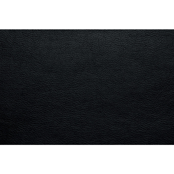 Bastrop Reclining Sofa BLACK VINYL