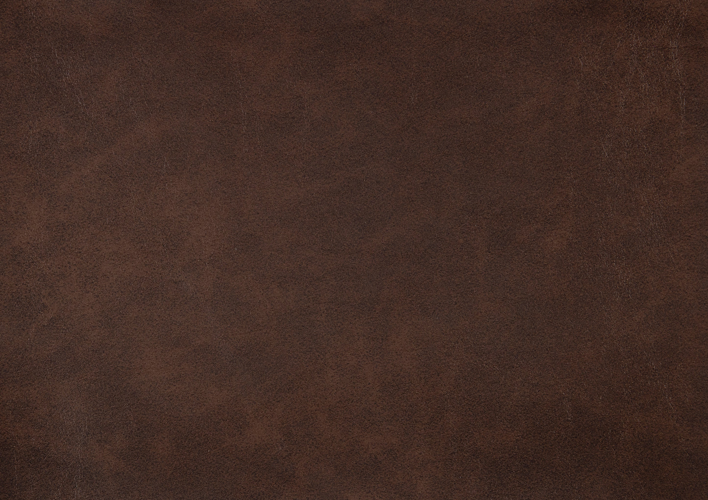 Newnan Reclining Sofa BROWN VINYL