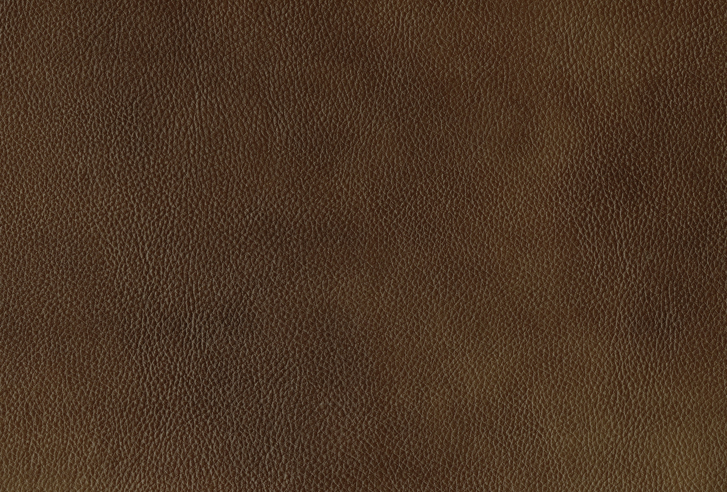 Ellicott Reclining Sofa BROWN LEATHER