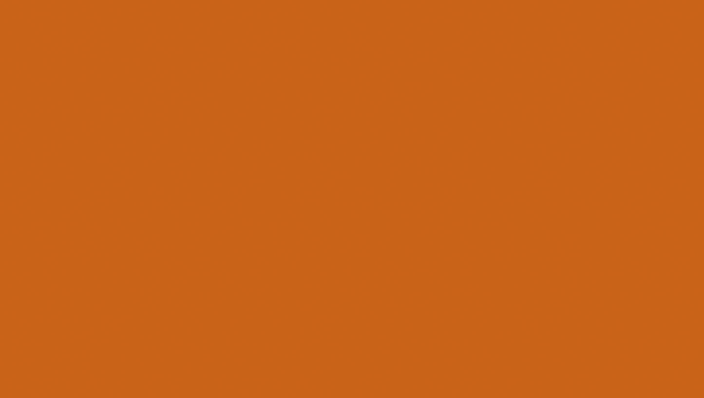Bethany Queen Platform Bed ORANGE