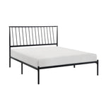 Augusta Queen Platform Bed BLACK