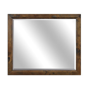 Jerrick Dresser Mirror BURNISHED BROWN