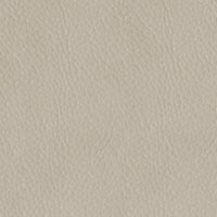 Santorine Leather Chair BONE