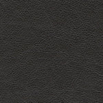Amiata Leather Chair and a Half ONYX