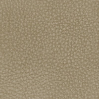 Next-Gen Durapella 2 Seat PWR REC Sofa ADJ HDREST