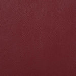 Camilla Reclining Loveseat RED