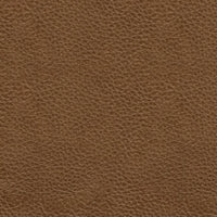Saonara Leather Chair AMBER