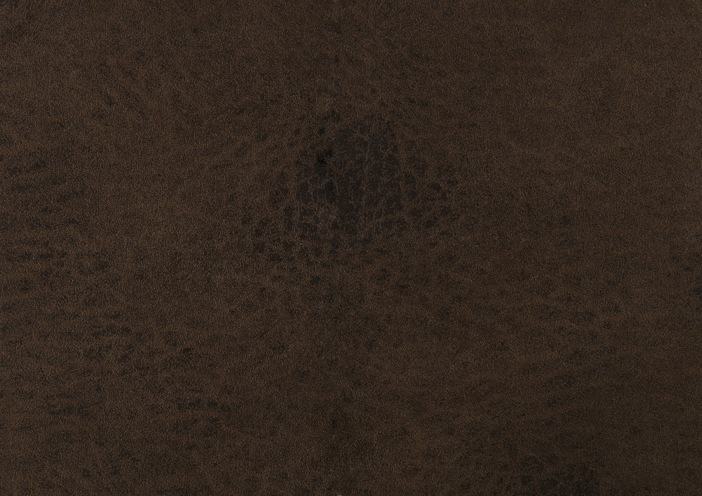 Proctor Reclining Sofa BROWN MICROFIBER