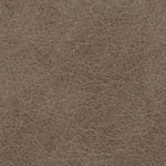 Navi Loveseat FOSSIL