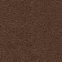 DeepWakes 2 Seat PWR REC 100% Leather Sofa ADJ HDREST CANYON